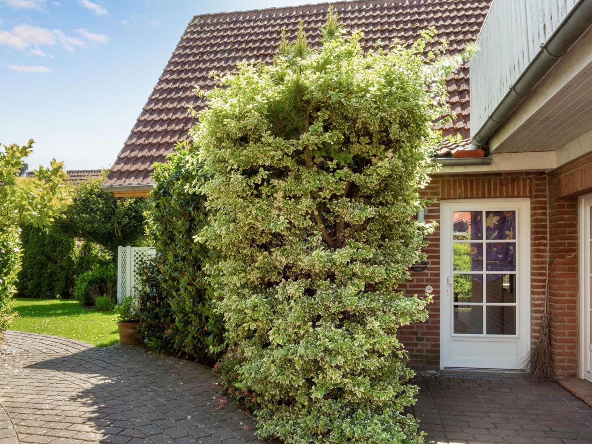 Enticing Holiday Home In Oldenburg With Garden Near Sea Dannau Buitenkant foto